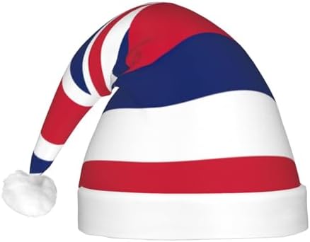 Hawaii Flag Christmas Hat with LED Light