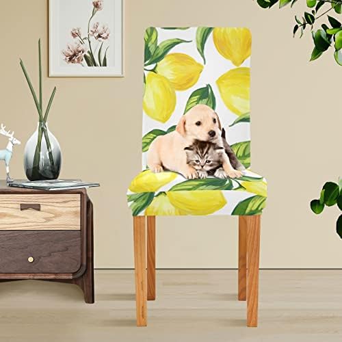 WELLDAY Dining Chair Covers 4PCS Yellow Lemons
