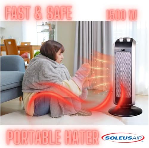 Soleus Air Heater with 2 Heat Settings and Timer