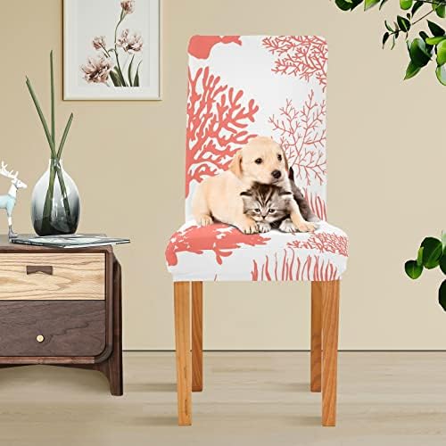 Xigua Beautiful Coral Chair Covers 4 Pack Dining Room Slipcovers